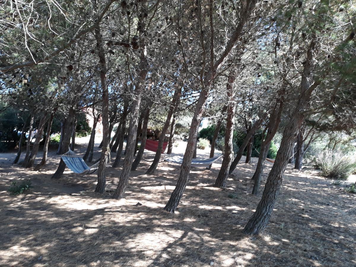 Apartamento La Macciona Aglientu Exterior foto